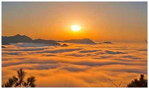 2026最新恐龙岛龙种介绍官网入口在哪，附官网链接说明